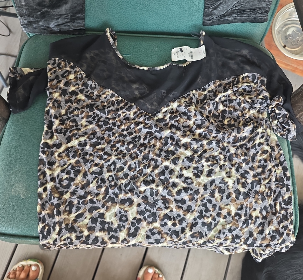 Women’s Leopard Print Short Sleeve Top with Black Yoke